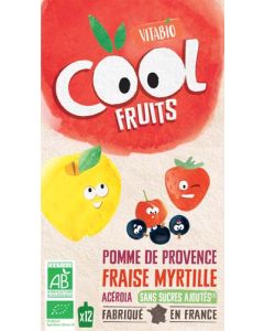 Vitabio  Cool Fruits - Pomme Fraise Myrtille de Nouvelle-Aquitaine Acérola 1080g