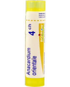 Boiron Anacardium Orien 4ch Granules 4g