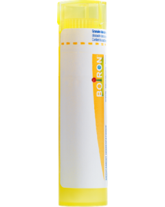 Boiron Arnica Montana 4ch Granules 4g