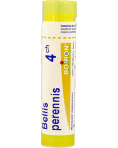 Boiron Bellis Perennis 4ch Granules 4g