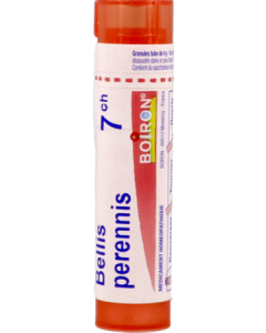 Boiron Bellis Perennis 7ch Granules 4g