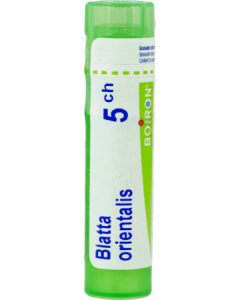 Boiron Blatta Oriental. 5ch Granules 4g