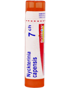 Boiron Nycterinia Cap. 7ch Granules 4g