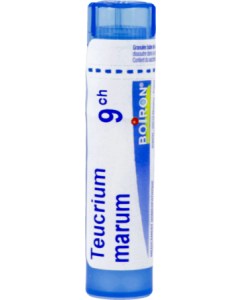 Boiron Teucrium Marum 9ch Granules 4g