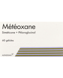 Metéoxane Gélules x60