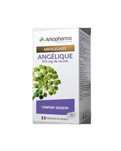 Arkopharma Arkogélules Angélique 45 gélules