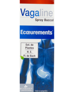 3chenes Vagaline Nausée Spray Buccal 25ml
