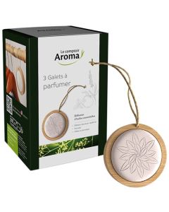 Le Comptoir Aroma Diffuseur Passif Galet 