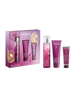Caudalie Coffret Thé des Vignes Noel 2023