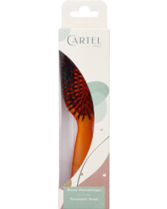 Vitry Cartel Brosse Cheveux Pneumatique Sanglier Sac Couleur