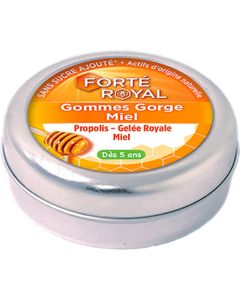 Forté Pharma Forte Royal Gommes Gorge Miel x45