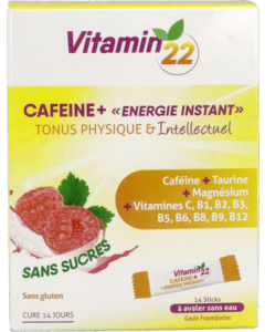 Ineldea Vitamin 22 Cafeine+ Energy Instant Poudre Sticks x14