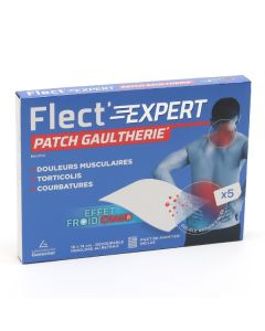 Flect'Expert Patch Gaulthérie x5