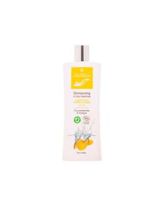 Montbrun Shampooing Bio Pour Cheveux Secs 