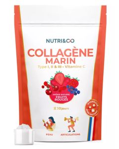 Nutri&Co Collagène Marin Type I Ii Iii Vitamine C Fruits Rouges Poudre 180g