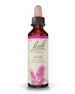 Famadem Fleur de Bach Original® Pine / Pin sylvestre / Pinus sylvestris 20ml