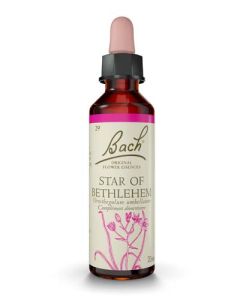 Famadem Fleur de Bach Original® Star of Bethlehem / Etoile de bethleen / Ornithogalum umbellat 20ml