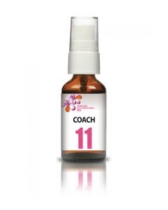 Dr Theiss Complexe de Fleurs de Bach Bio 11 Coach 20ml