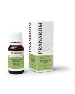 Pranarôm Huile Essentielle d'Eucalyptus Radié 10ml