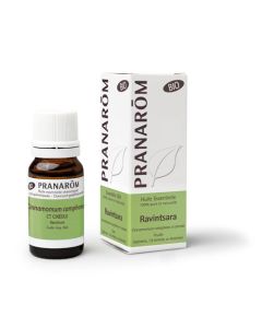 Pranarôm Bio Huile Essentielle Ravintsara 10ml
