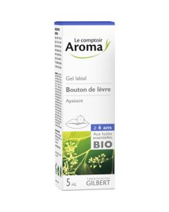 Le Comptoir Aroma Maux Quotidiens Gel Labial 5ml