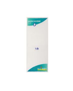 Boiron Olea Europaea Jeunes Pousses Macérat Glycériné 1DH 125ml