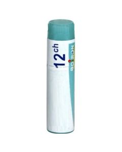 Boiron Hepar Sulfuris Calcereum 12CH Dose