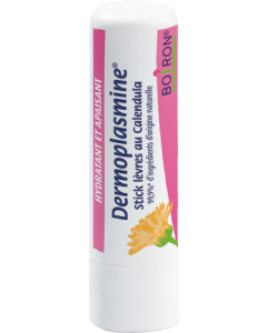 Boiron Dermoplasmine Stick à Lèvres