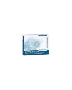 Dictyolone 500 45 comprimés