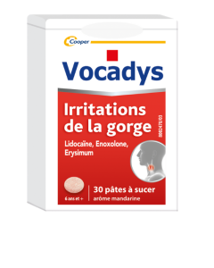 Vocadys Irritations de la Gorge 30 pâtes