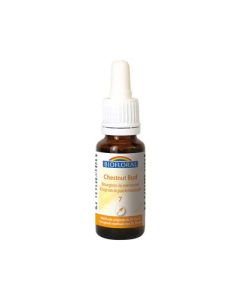 Biofloral 07 Chestnut Bud. Bourgeons Marronnier Compte Gouttes Bio Demeter 20ml