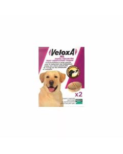 Veloxa XL Vermifuge Comprimés à croquer pour Chiens x 2